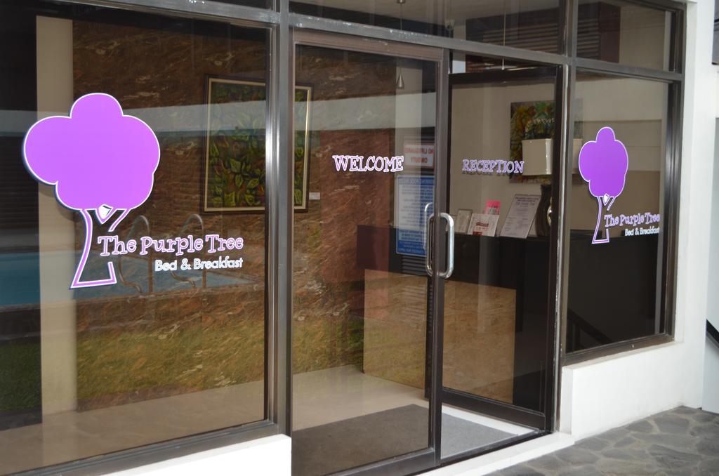 Purple Tree Bed & Breakfast Paranaque City Exterior photo